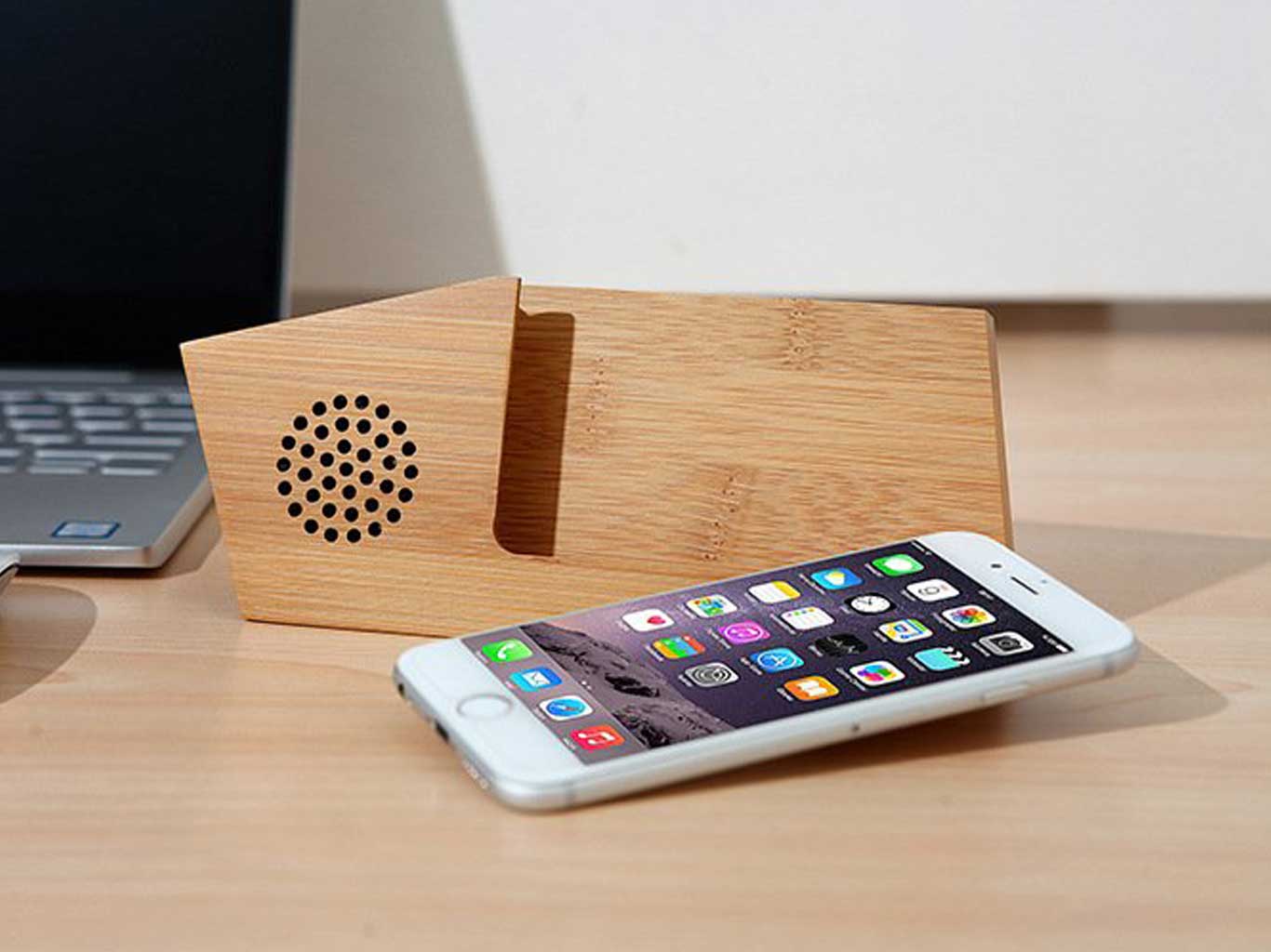 Bamboo Stand Speaker